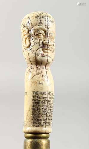 A WALKING STICK the bone handle carved as a phrenology head.