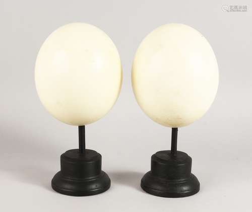 A PAIR OF MOUNTED OSTRICH EGGS. 7ins.