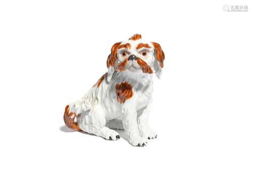 A Meissen figure of a Bolognese terrier 19th century, the small dog seated on its haunches with head