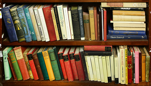 Two shelves of books, topics include dance, art,