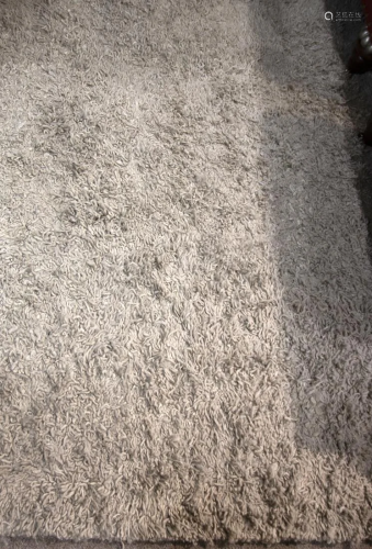 A Delinear shag carpet