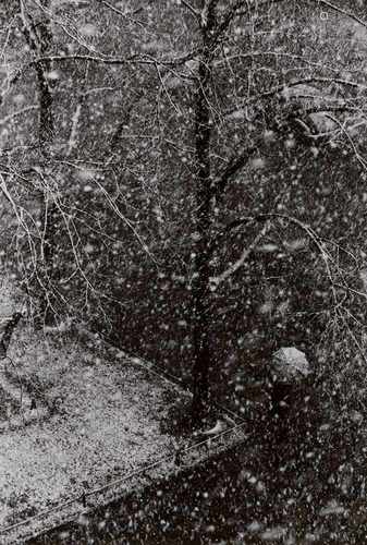 Herbert ListErster Schnee (Blick aus dem Atelier des Photographen, München-Schwabing)