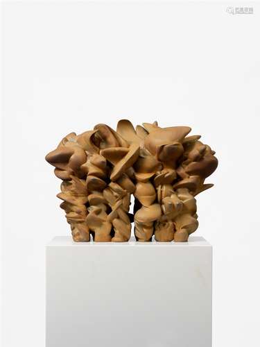 Tony CraggGrenze weg