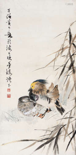 黄幻吾（1906～1985） 鸳鸯 立轴 设色纸本