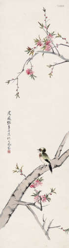 张善孖（1882～1940） 花鸟 立轴 设色纸本
