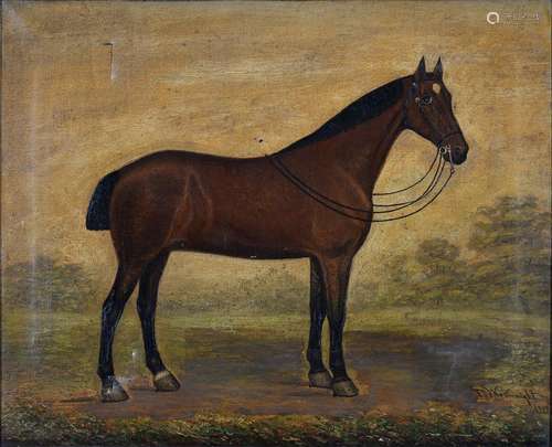 T WAINWRIGHT (FL LATE 19TH - EARLY 20TH CENTURY) - PORTRAIT OF A HORSE, SIGNED AND DATED 1903, OIL