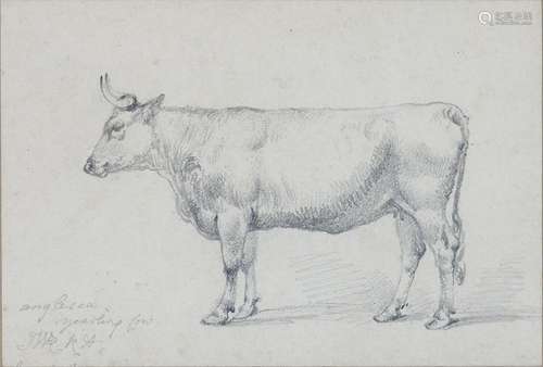 JAMES WARD, RA, (1769-1859) - STUDY OF A COW, SIGNED (JWRD RA) AND INSCRIBED ANGLESEY YEARLING