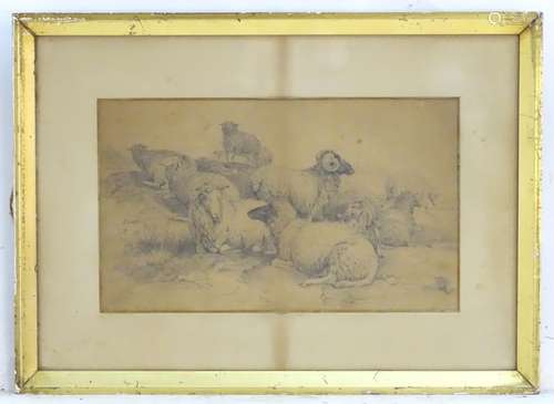 XIX, English School, Pencil drawing, A study of sheep, Rams and ewes in a landscape. Approx. 9 1/