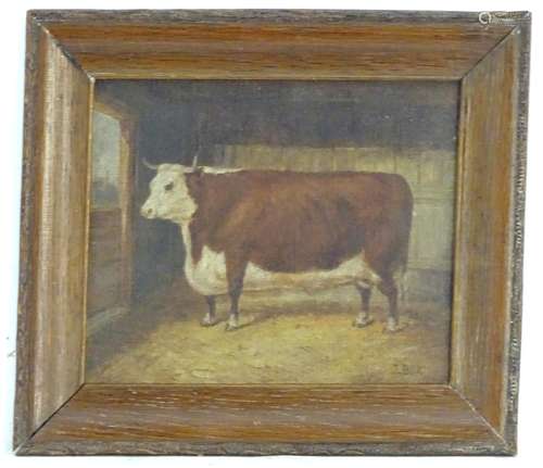 J Box, XX, Oil on canvas laid on board, A portrait of a prize bull in a barn. Signed lower right.