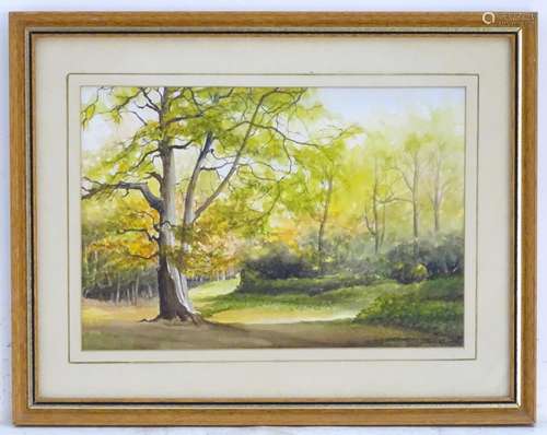 Initialled A, XX, English School, Watercolour, Tring Park, A wooded landscape scene in late