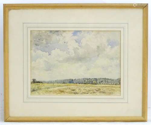 Alfred W. Rich (1856-1921), English School, Watercolour, A landscape scene with cattle grazing.