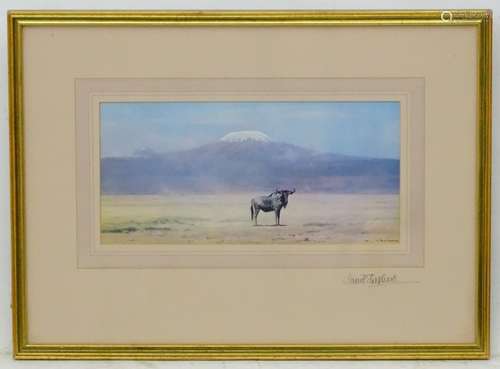 After David Shepherd (1931-2017), Colour print, A wildebeest before Mount Kilimanjaro. Signed in