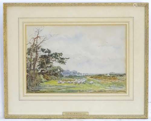 Claude Hayes (1852-1922), English School, Watercolour, A country landscape scene with sheep