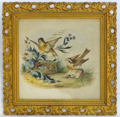 C. Ollivant, XIX-XX, Watercolour, A landscape scene depicting birds nesting, possibly wheatears.