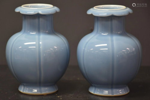 Pair of Chinese vases with moonlight blue background