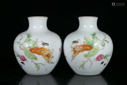 Pair Of Chinese Procelain Famille Rose Vases