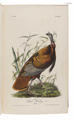 AUDUBON, John James (1785-1851). The B…