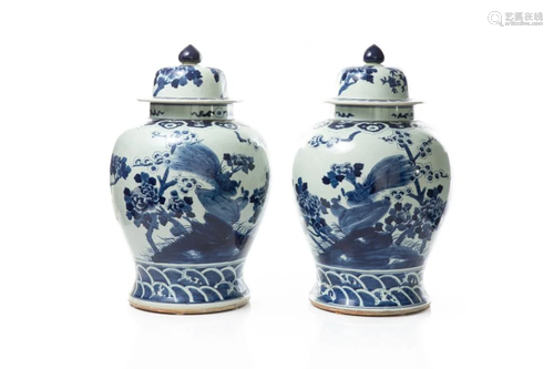 LARGE PAIR OF CHINESE BLUE & WHITE P…