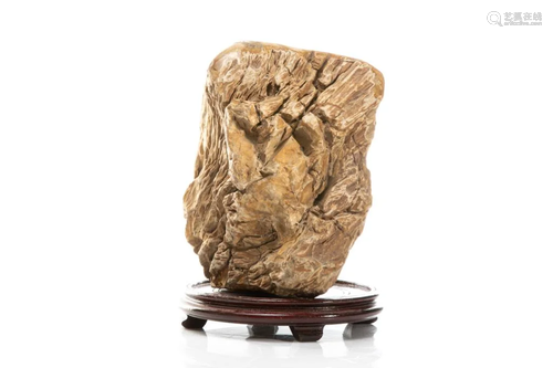 PETRIFIED WOOD SCHOLAR'S ROCK