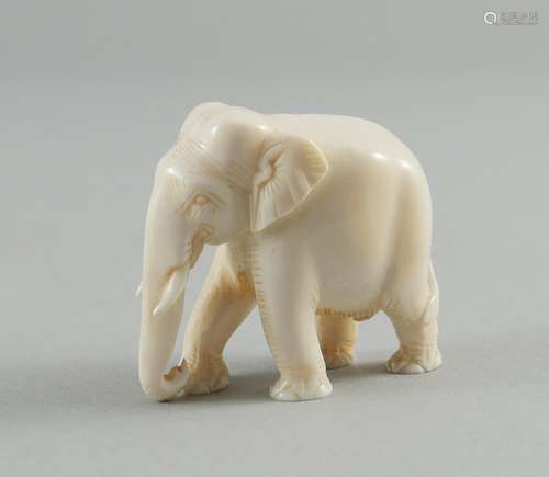 Elefant.