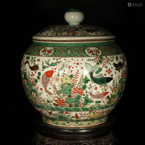 A Famille Verte Fish and Algae Pattern Porcelain Jar with Cover