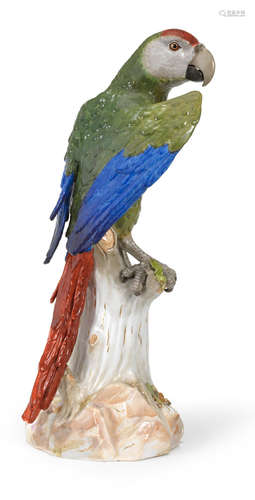 A very large Meissen model of a parrot, late 19th century