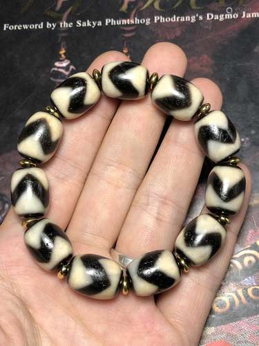 A Tibetan Tiger Tooth Dzi Bracelet