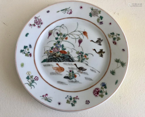 Wucai Porcelain Plate- Guang Xu