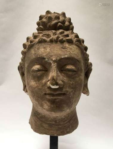 Tête de bouddha en stuc. Art Greco Bouddhique du G…