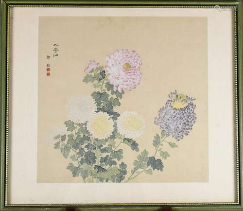 After Zou Yigui (1686-1772) Chrysanthemum