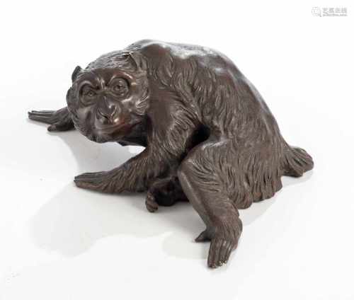 Bronze eines sitzenden Affen mit seitlich gewandtem Kopf