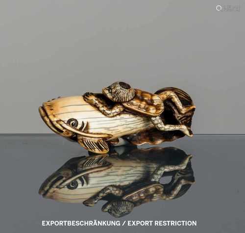 Lustiges Netsuke des Kappa auf einem Wels aus Elfenbein