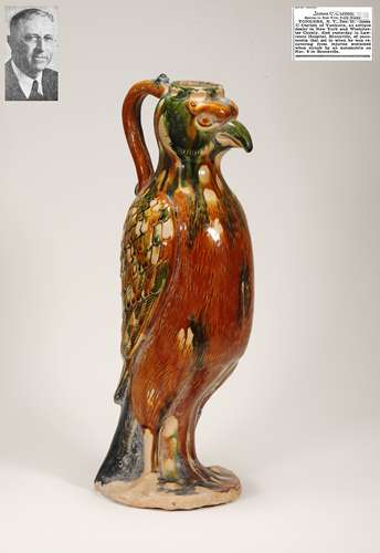 Tang Dynasty - Sancai Parrot