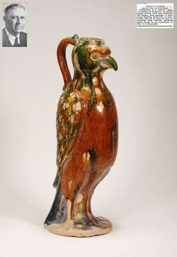 Tang Dynasty - Sancai Parrot