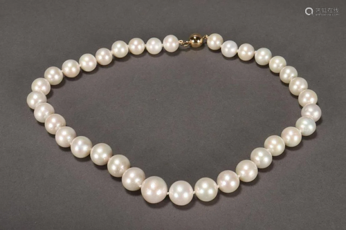 Stunning Lady's South Sea Pearl Necklace,