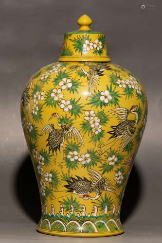 Chinese Qing Dynasty Kangxi Period Porcelain Plum Bottle