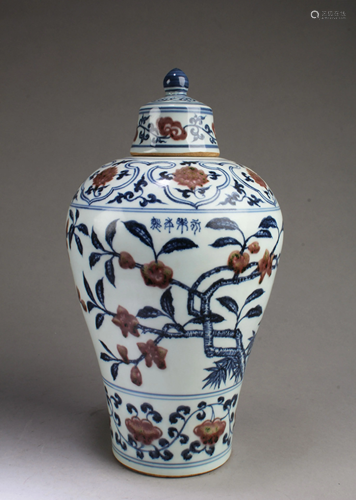 Chinese Iron Red Blue & White Porcelain Vase