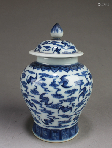 Chinese Blue & White Porcelain Jar