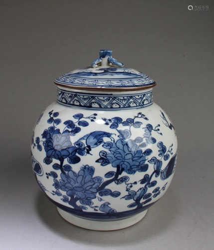 Chinese Blue & White Porcelain Jar