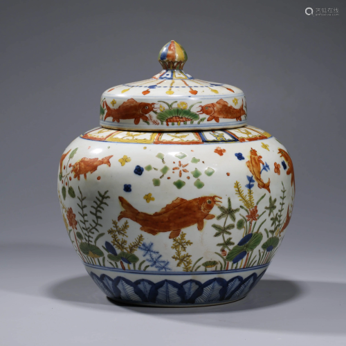 A FAMILLE VERTE FISH & WATERWEED PORCELAIN JAR WITH DA