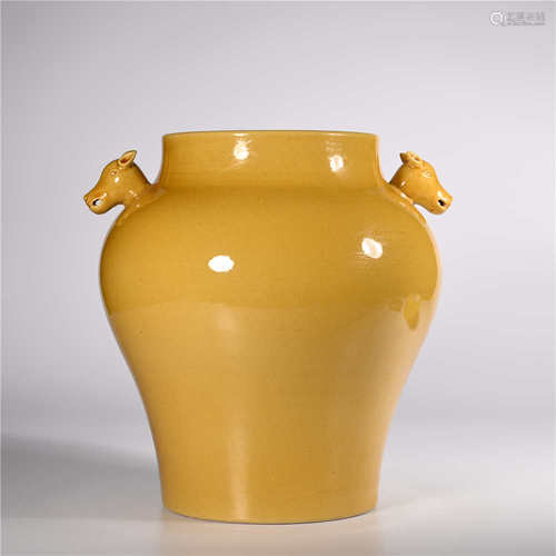 Ming Hongzhi        Yellow glazed dog head jar