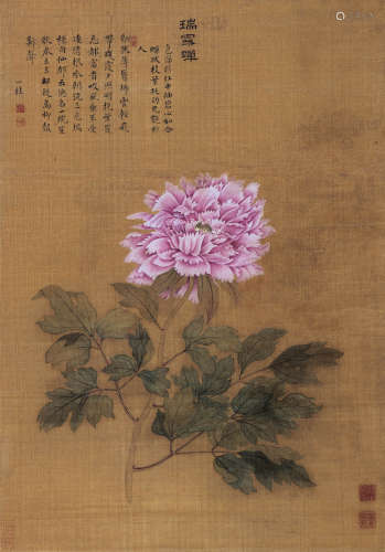 邹一桂（1686～1772） 牡丹二十四品之「瑞露蝉」 立轴 设色绢本