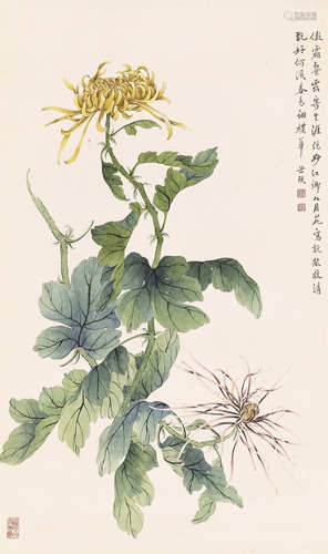 缪谷瑛  秋菊