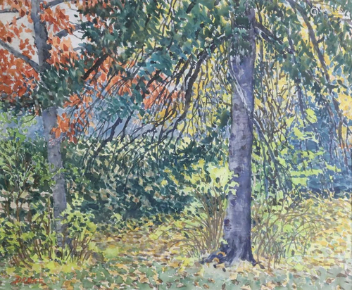 Drake.Signed Watercolor Canadian Garden