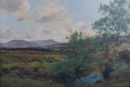 Peter S. Buchanan (1860-1910) A Galloway landscape oil on canvas, signed lower left 49.5cm x 75cm
