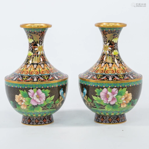 Pair of Cloisonné vases