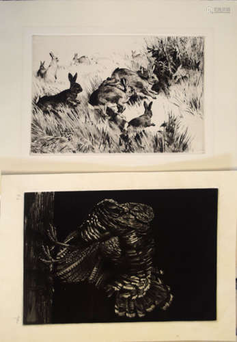 Moli?, Cockerel, black and white etching, signed in pencil to lower right margin, 29 x 19cm,