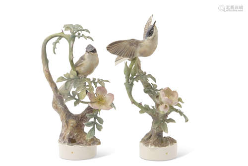 Pair of Royal Worcester bird groups modelled by Dorothy Doughty, one with the Lesser Whitethroat and