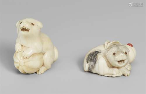 Zwei Netsuke von Hunden. Elfenbein. 1. Hälfte 19. Jh.