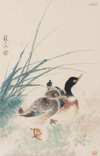 江寒汀（1904～1963） 双鸭 立轴 设色纸本